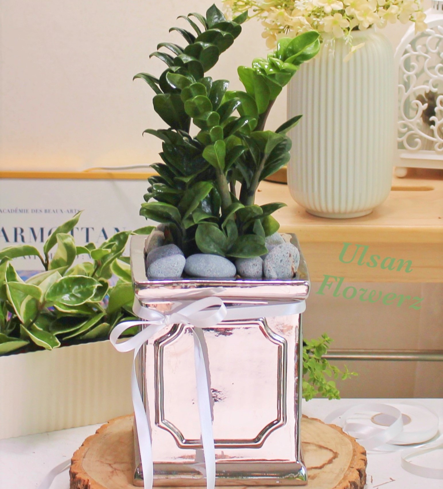 �󼼳��뺸��